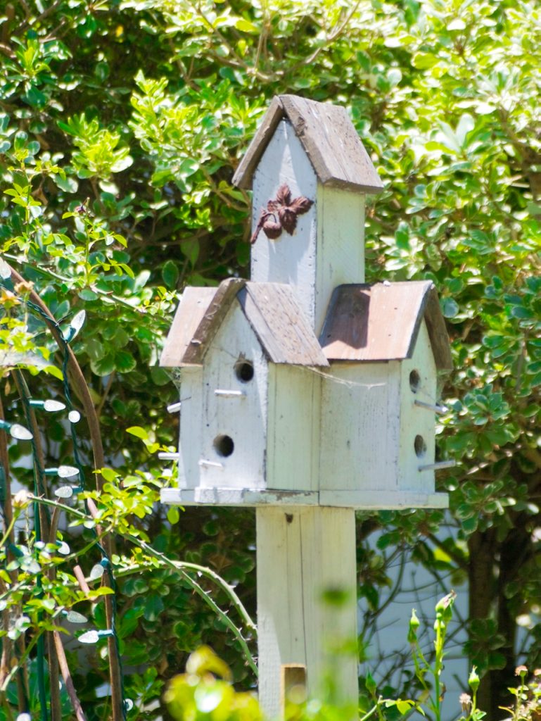 birdhouse in garden