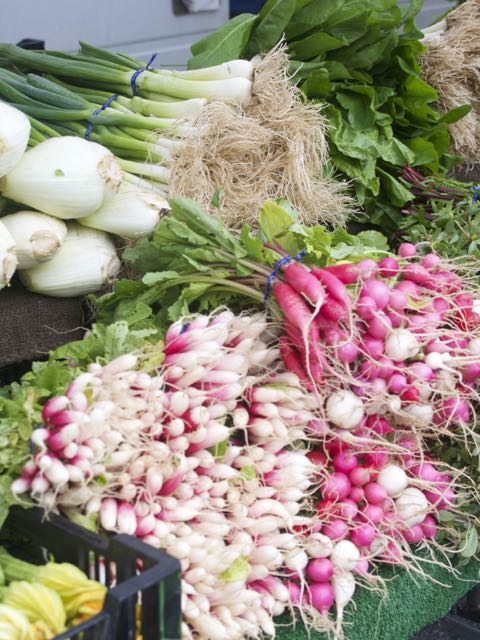 radishes at the farmers market