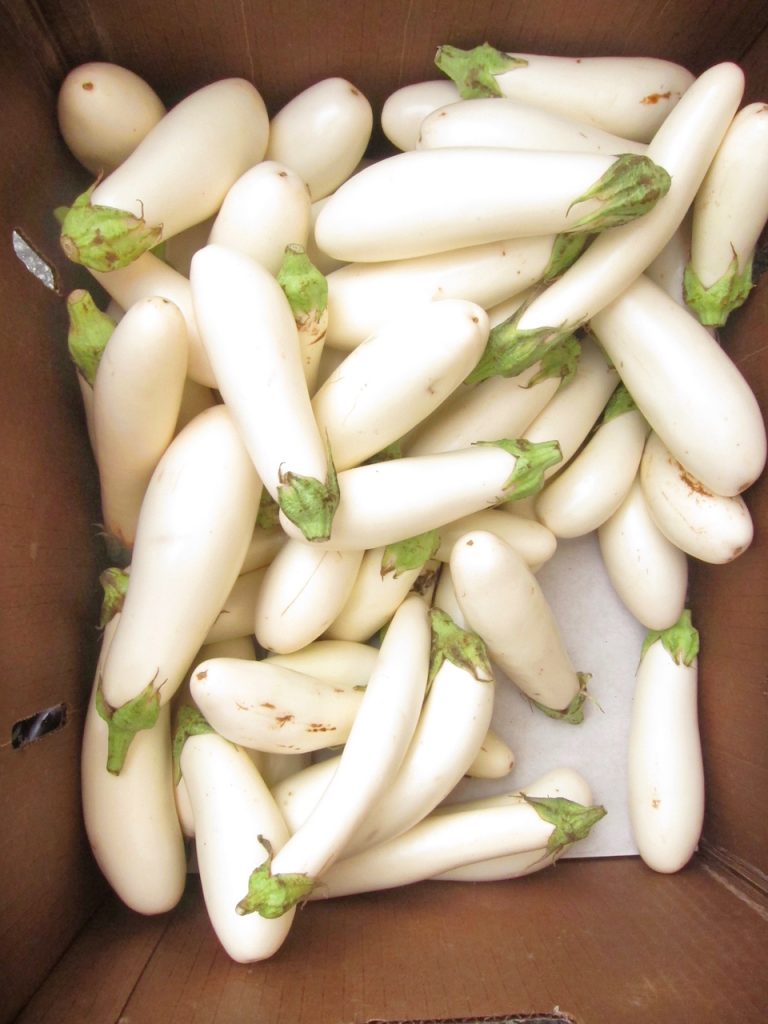 white eggplant at the farmers market