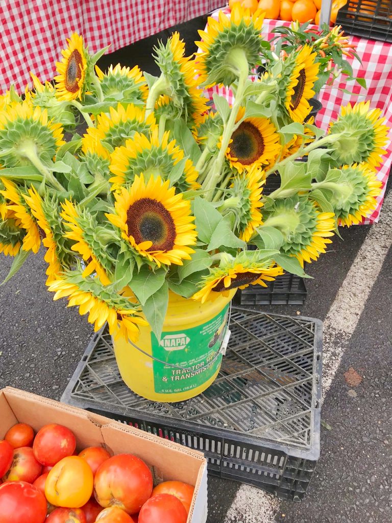 sunflowers in a yellow bucket