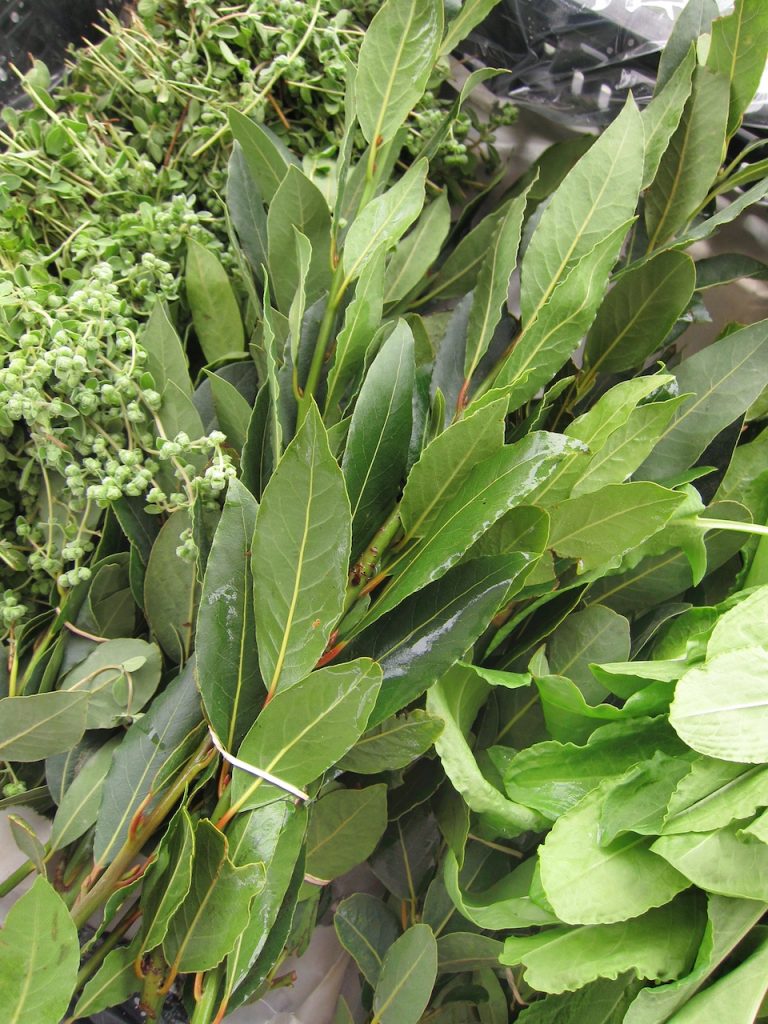 bay leaves at the farmers market