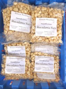 macadamia nuts at the farmers market