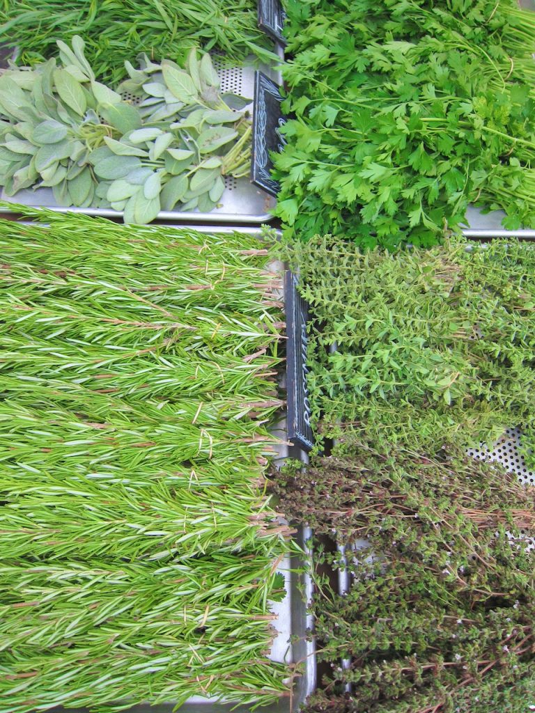 rosemary and thyme at the farmers market