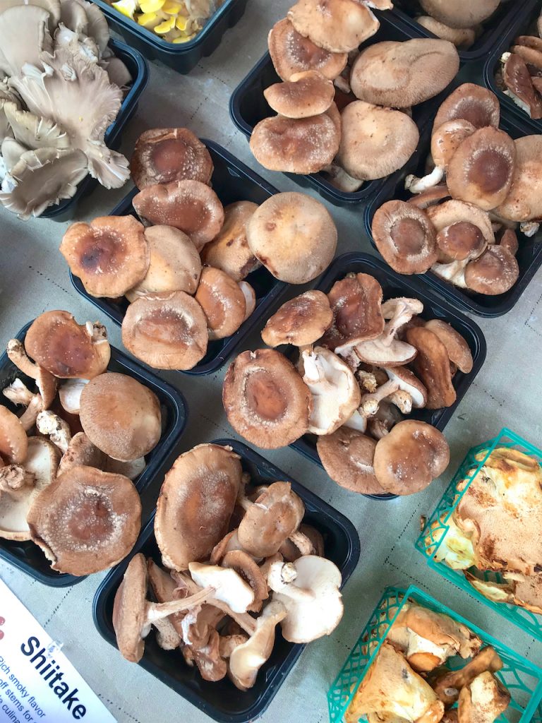 mushrooms at the farmers market