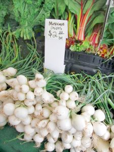 sweet white onions at the farmers market