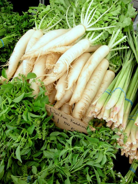 daikon radish