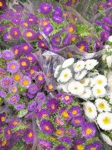purple flowers at farmers market