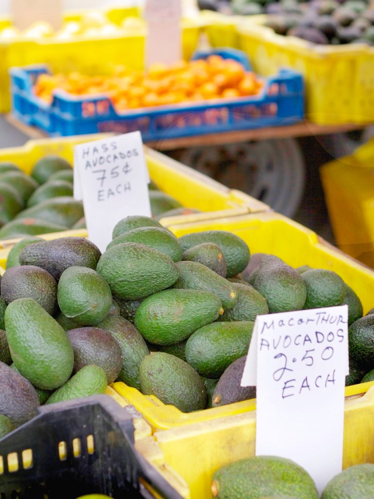 avocado at the farmers market