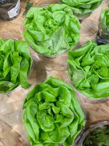butter lettuce at the store