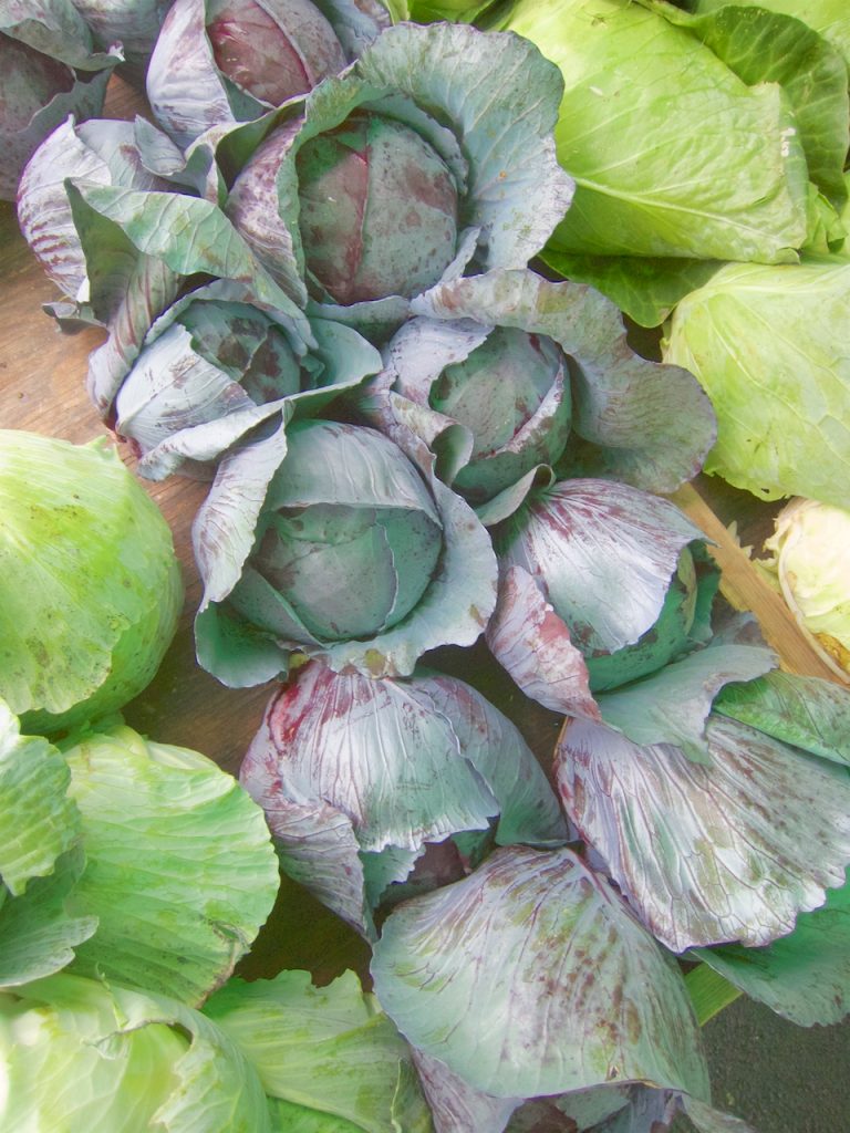 cabbage at the farmers market