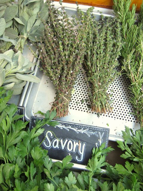 fresh savory