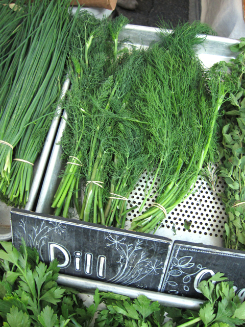 dill