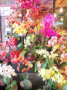 orchids at Whole Foods market