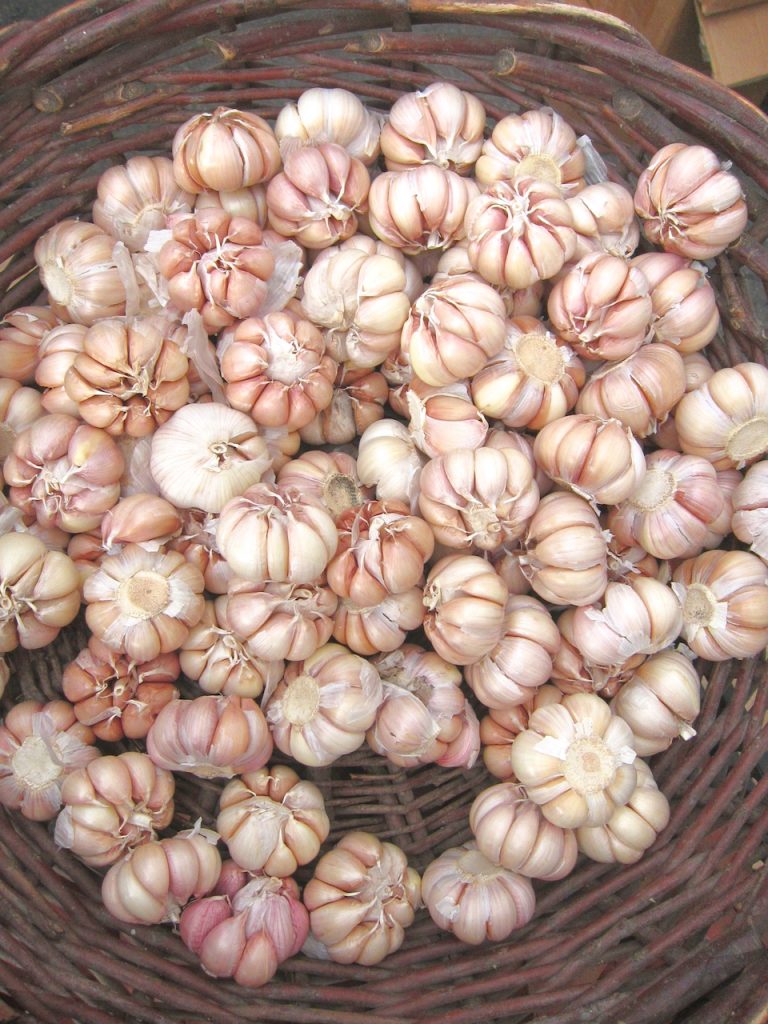 garlic at the farmers market