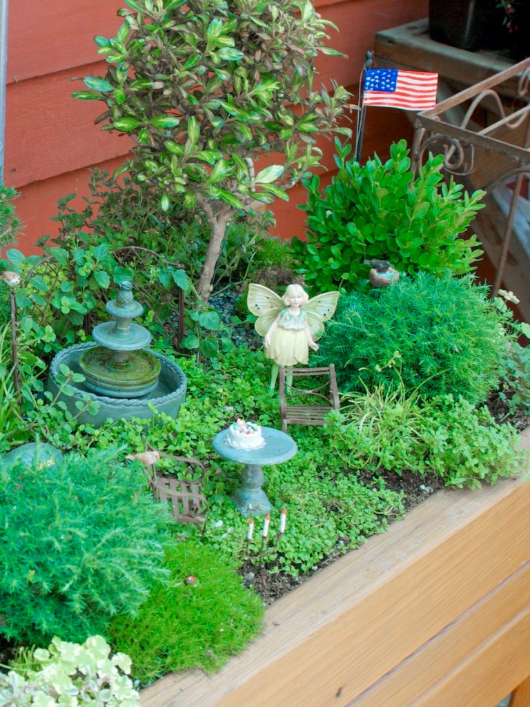 mini fairy garden