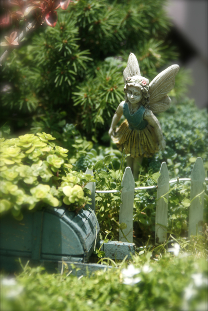 fairy in garden
