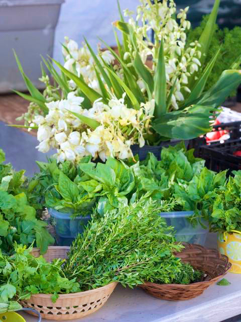 herbs at farmers market