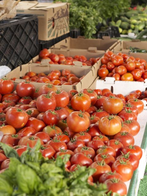 tomatoes