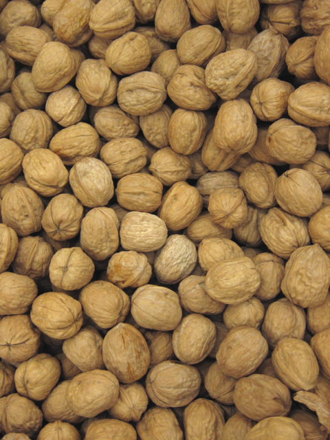walnuts in shells in a bin