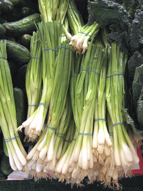 green onions
