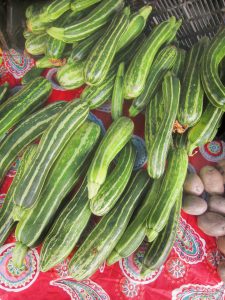 zucchini at the farmers market