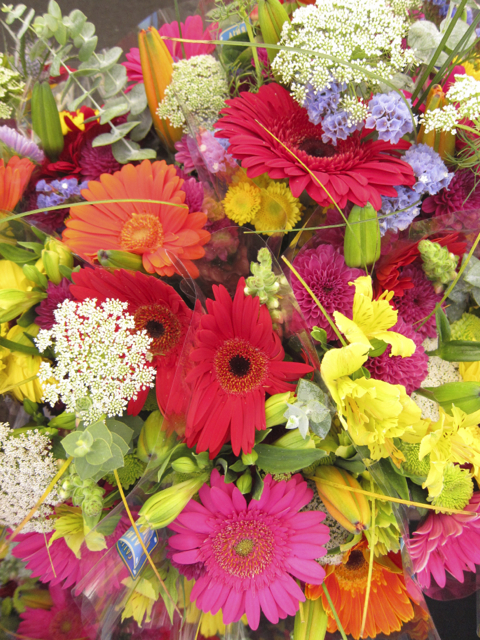 Flowers at the farmer's market