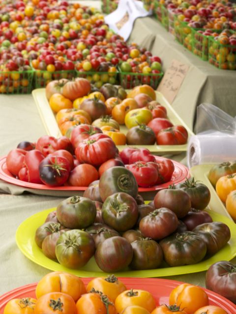 tomatoes