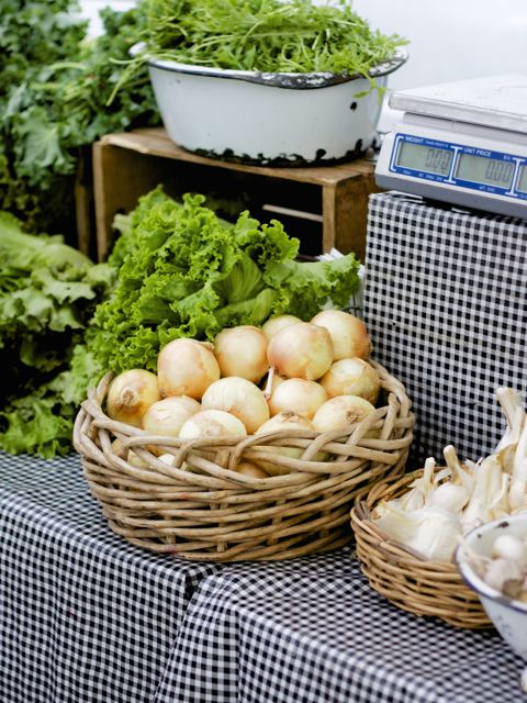 onions in basket