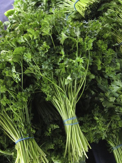 curly parsley