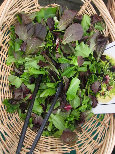 mixed lettuce