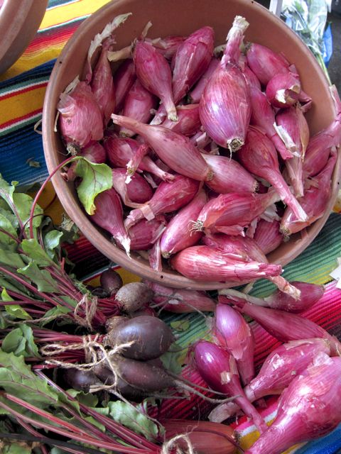 shallots