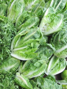romaine lettuce at farmers market