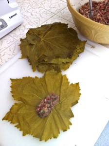 dolmas