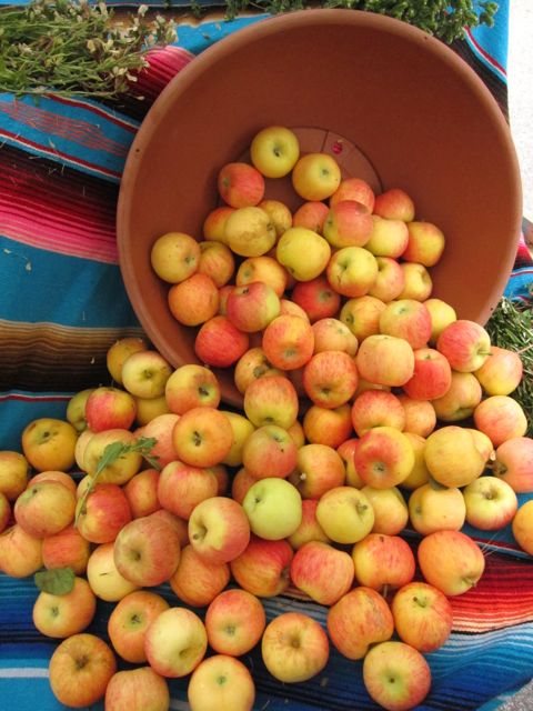apples farmer's market