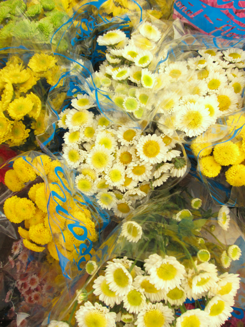 yellow bunches of flowers