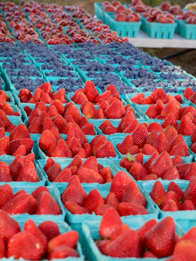 strawberries and blueberries at the farmers market