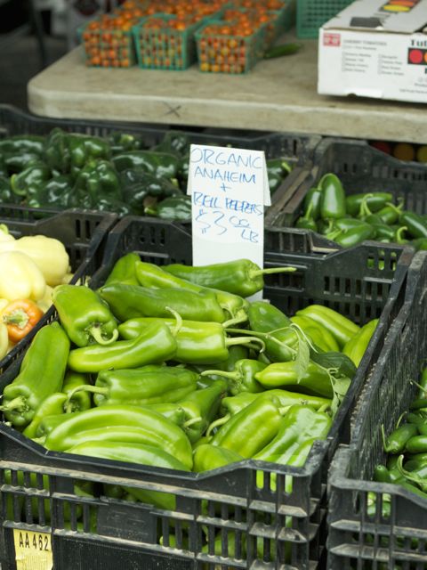 anaheim peppers
