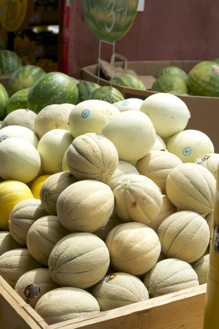 cantelope 3