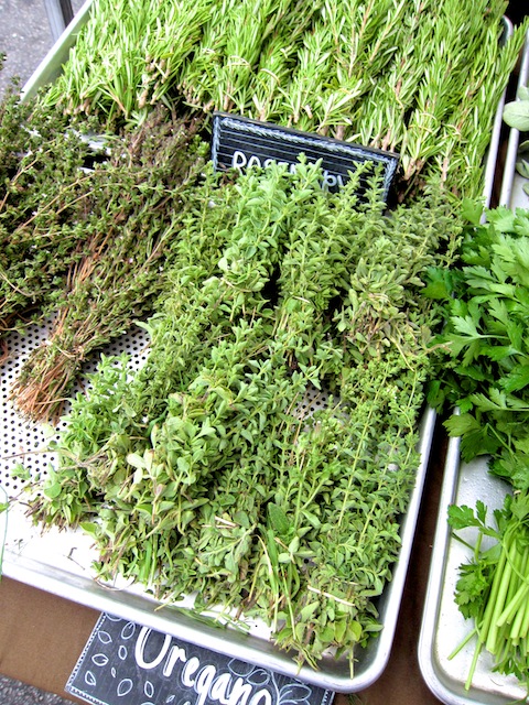 oregano