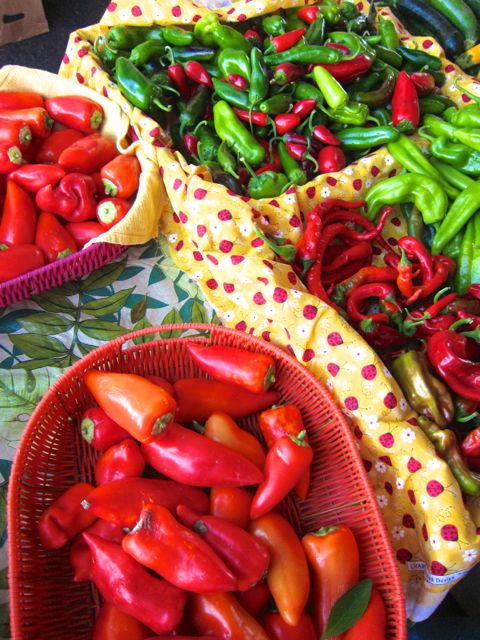 variety of peppers