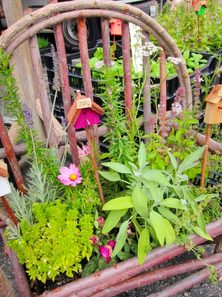 mini herb garden on rocker