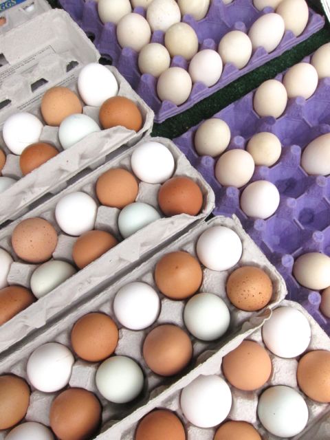 eggs at farmer's market