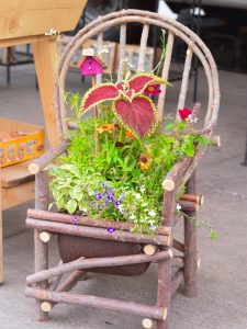 mini herb garden