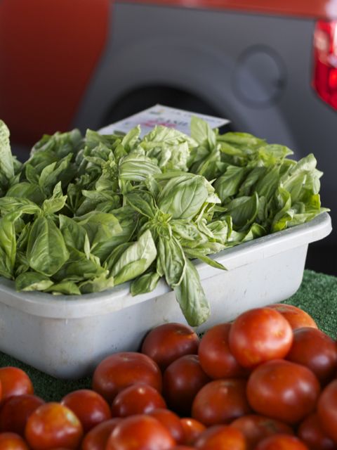 basil