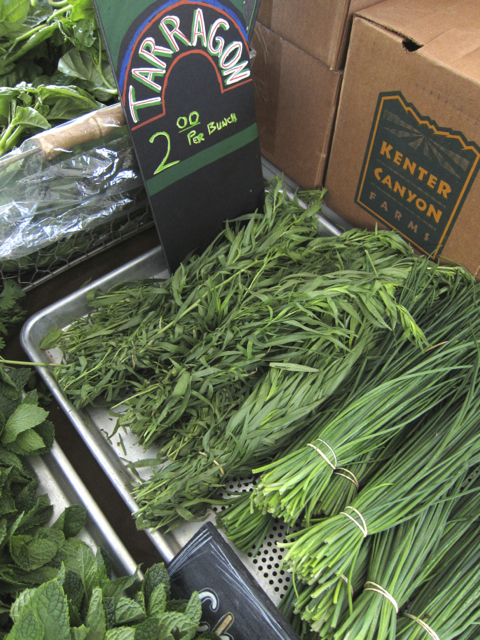 tarragon