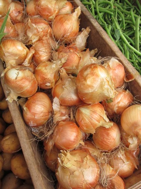 yellow onions