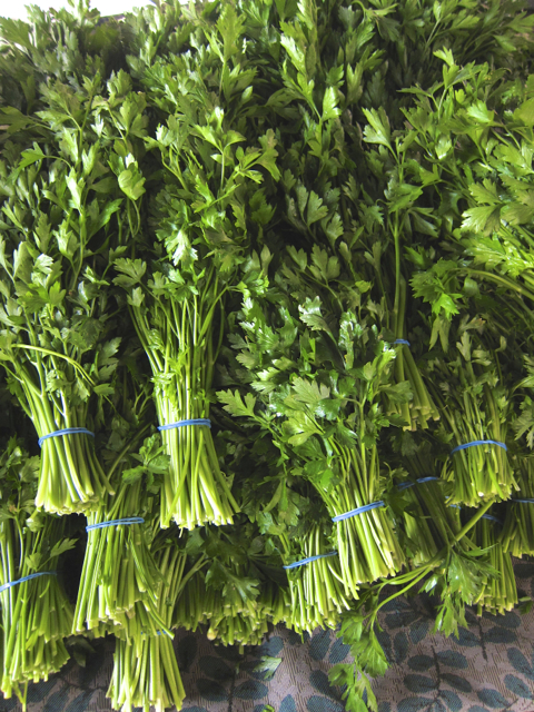 parsley