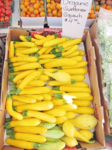 summer squash at the farmers market