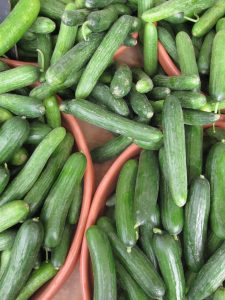 Persian cucumbers at the farmers market