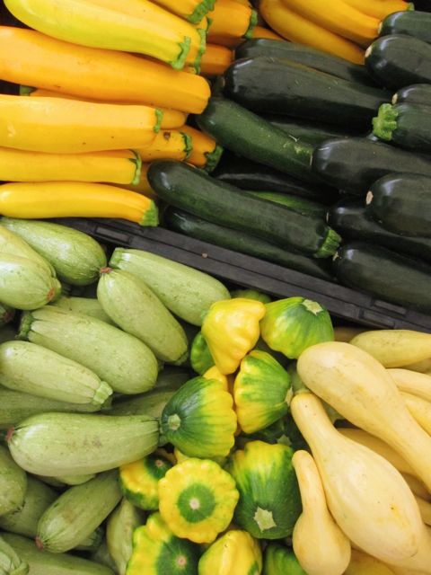 5 different squashes